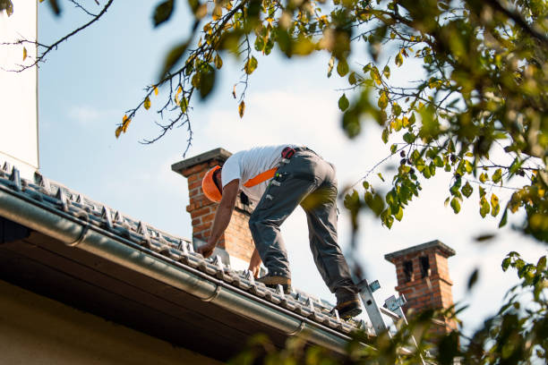 Best Tile Roofing Contractor  in Wolcottville, IN