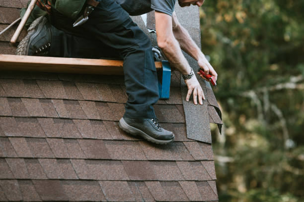 Best Flat Roof Repair Services  in Wolcottville, IN